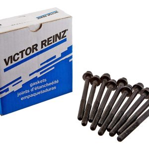 Tornillos Cabeza Ford Focus St Volvo L5 2.4 L 2.5 L 20v 12pz