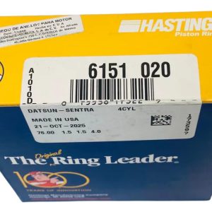 Anillos Nissan Pulsar Sentra 1.5l 1.6l 8v 82-88 (020)